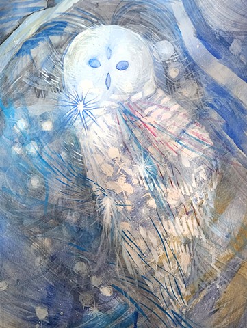 Barred Owl