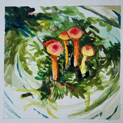 Little Mushroom Study