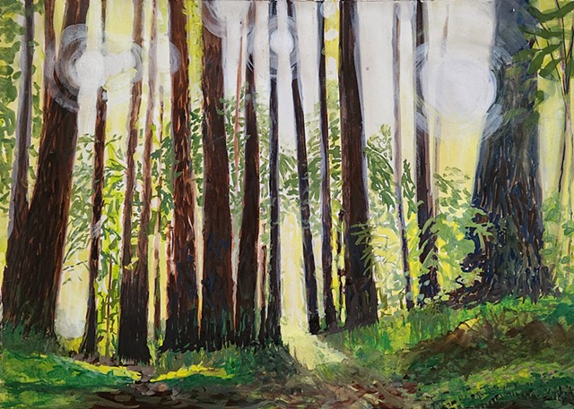 Light in the Trees