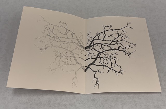 Exploratory graphite rubbing