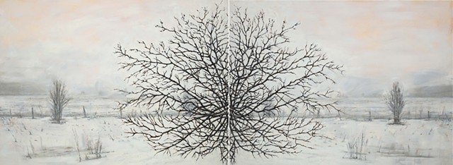 Grandma Oak Pareidolia