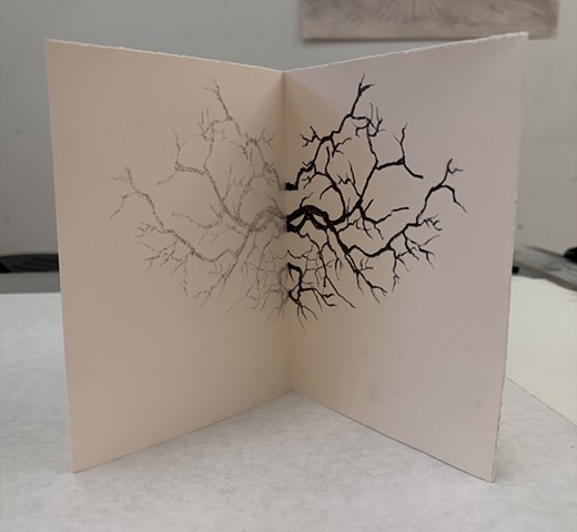 Exploratory graphite rubbing