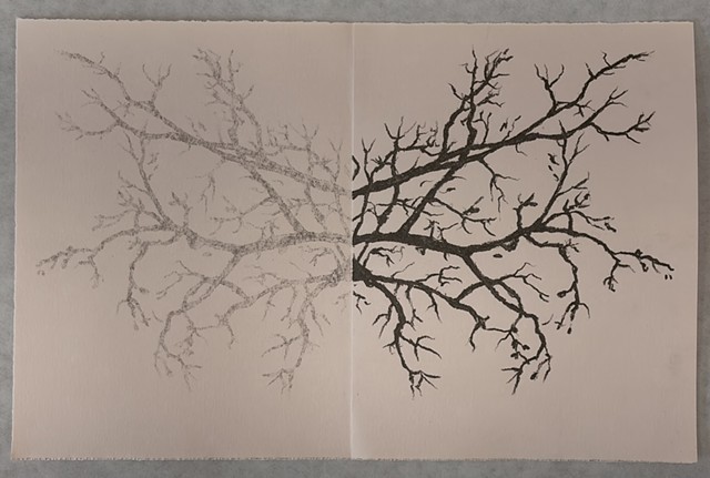 Exploratory graphite rubbing