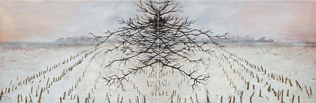 New Season (2025-2026)