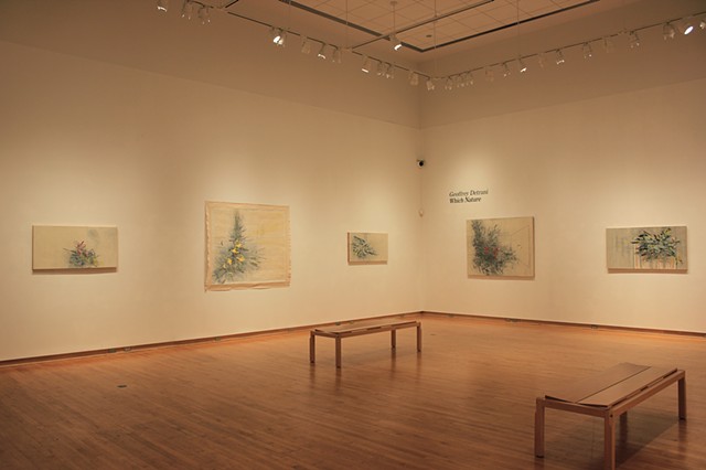 "Which Nature" exhibition at the Mark Potter Gallery, Taft, 2016