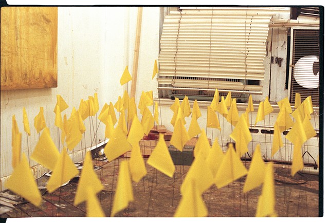 Yellow Flag (series)