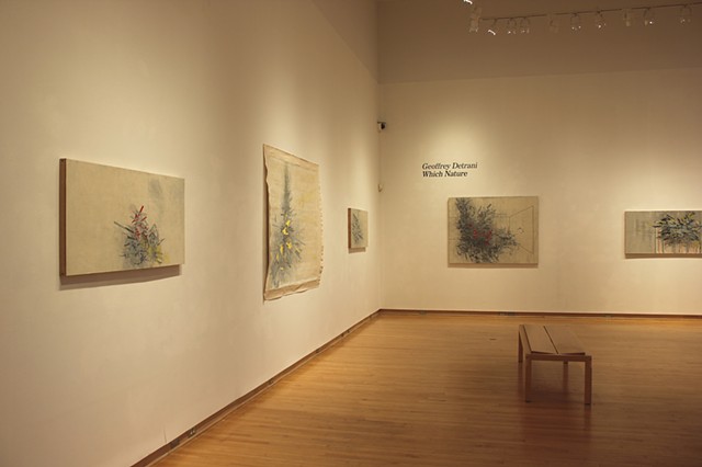 "Which Nature" exhibition at the Mark Potter Gallery, Taft, 2016