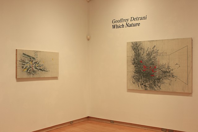 "Which Nature" exhibition at the Mark Potter Gallery, Taft, 2016