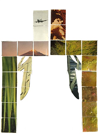 Drought, fire, and weeds