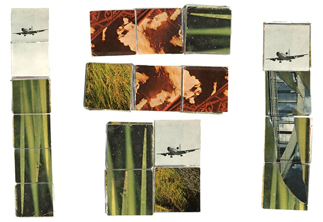 Drought, fire, and weeds, detail