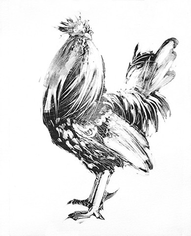 Black & White Rooster (sold)