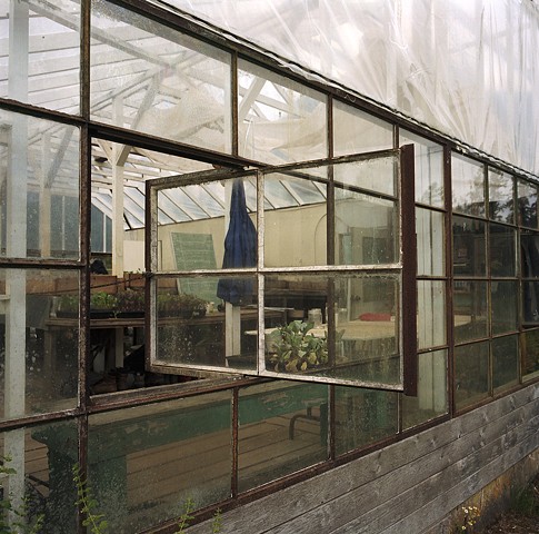 Greenhouse, Saltspring, Tara Nicholson
