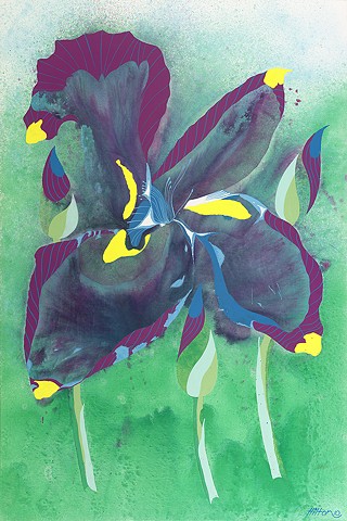 Colorful Iris Original Acrylic on Canvas by Hilton Stephenson