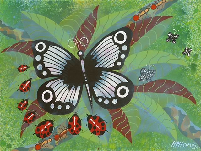 Collingwood Butterfly