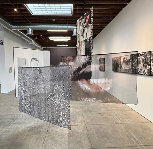 lick of tongue rub of finger on soft wound, Webber Gallery, 2025 