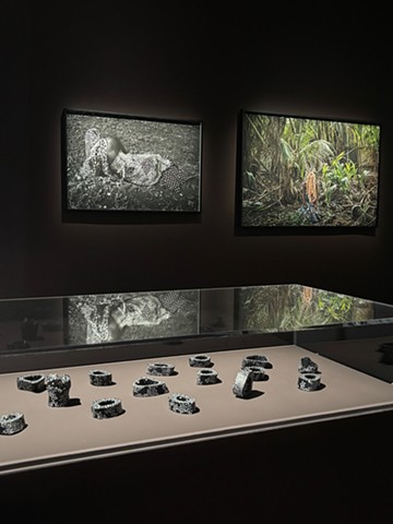 Alma, Les Rencontres d' Arles, 2025