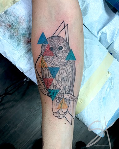 Owl and triangles
