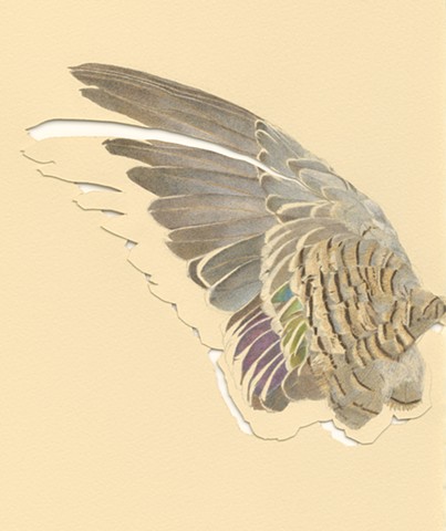 Flutter, detail
