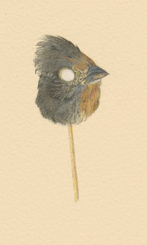 Bird Head, detail