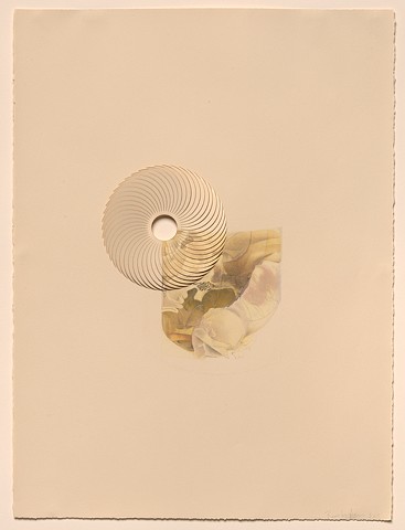 drawing of an object in the collection of the National Museum of Health and Medicine, laser-cut, twisted open
