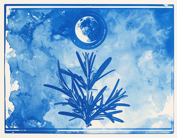 Rosemary Promise