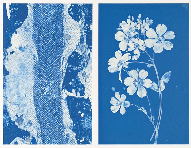 Shed and Bloom (Timeline Hop)