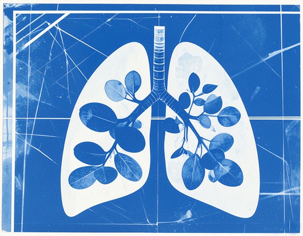 Wind Within (ft Eucalpytus)