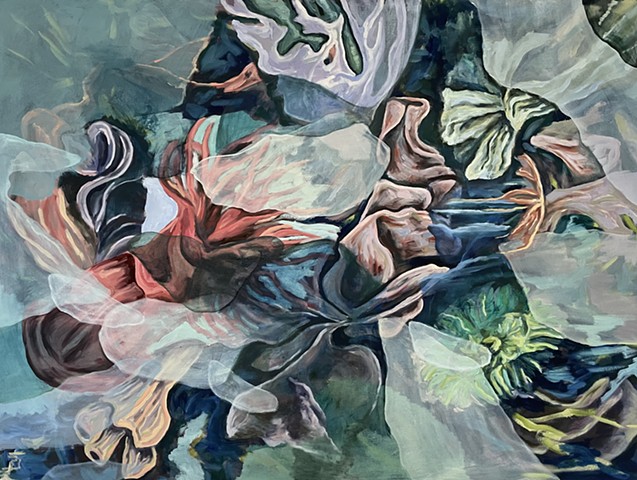 Intertidal Zone 1