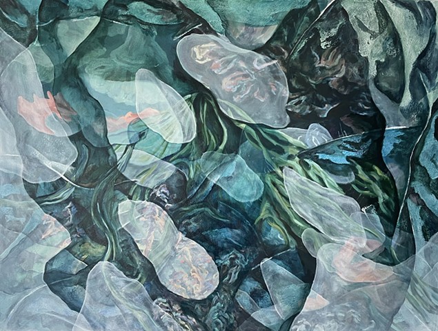Intertidal Zone 2