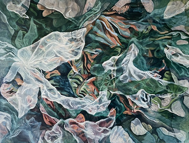 Intertidal Zone 3