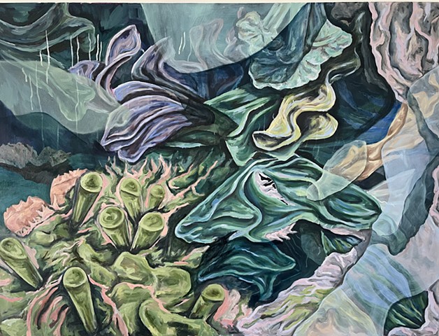Intertidal Zone 4