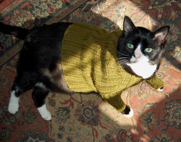 Feline Sweater
