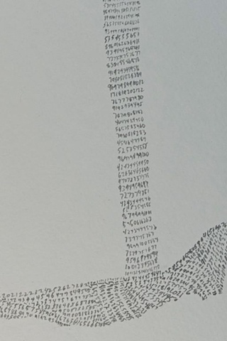 number field drawing 4 (detail)