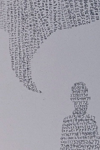 number field drawing 2 (detail)