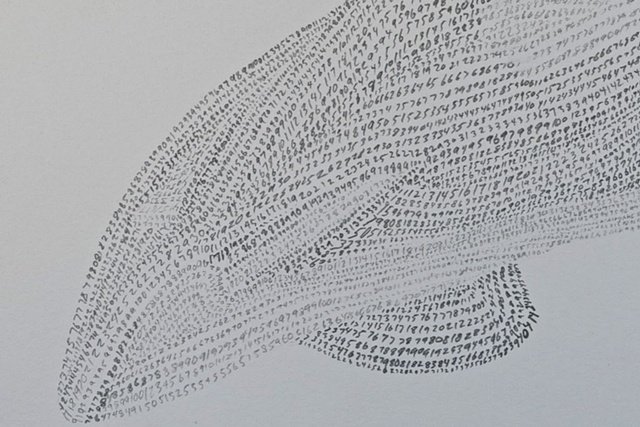 number field drawing 9 (detail)