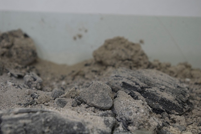 Window and Ash (detail)