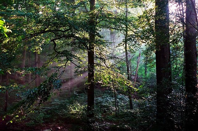 Pennsylvania Sunviews