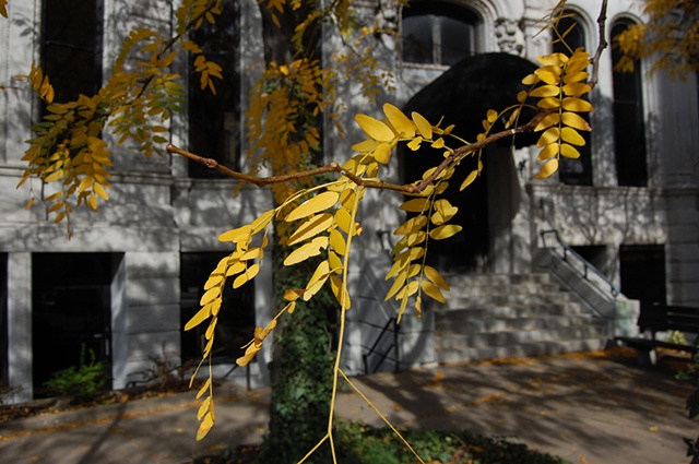 shadowlands