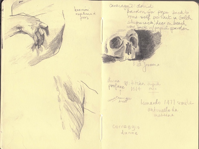bernini (moleskin)
