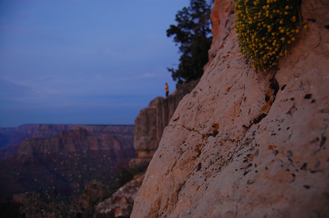 Canyon Leans