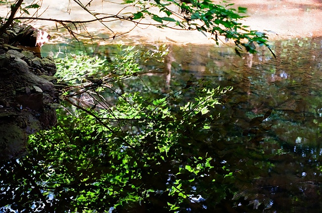 Settled Creek