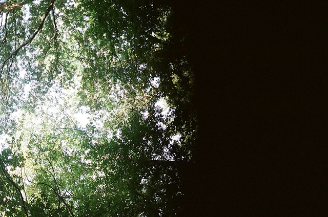 pennsylvania: shade