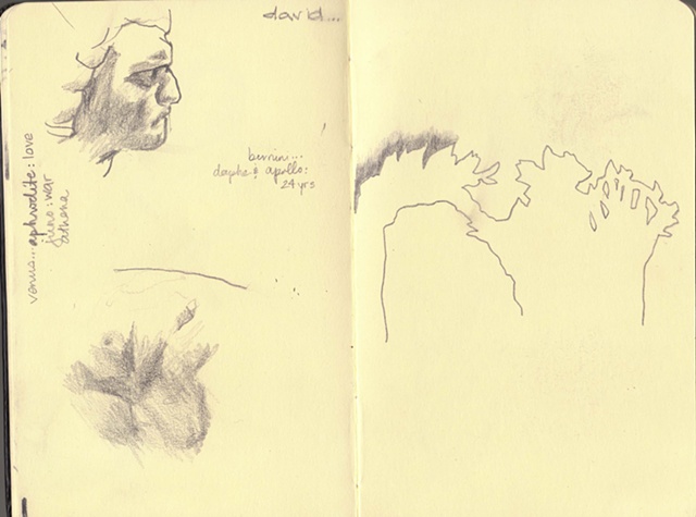 apollo (moleskin)