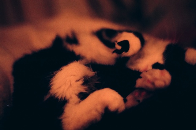 Fuzzball