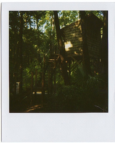 treehouse: georgia