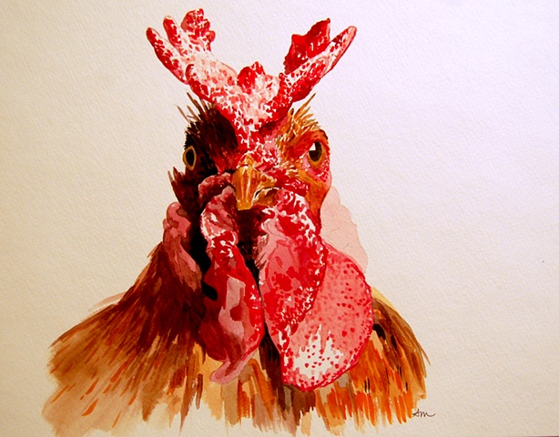Nameless Rooster