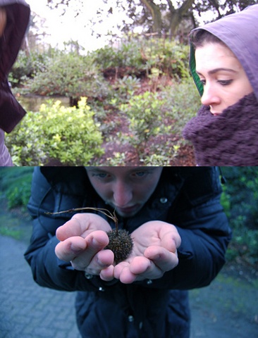 ireland portraits