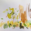 Arboretum 4