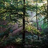 Pennsylvania Sunviews