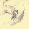 bernini (moleskin)